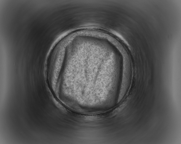 X0000086981421200705071408