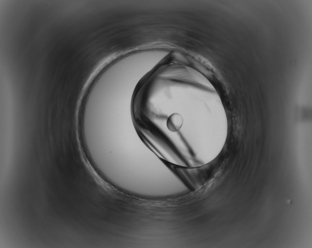 X0000086981422200705071408