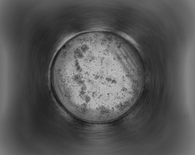 X0000086981423200705071408