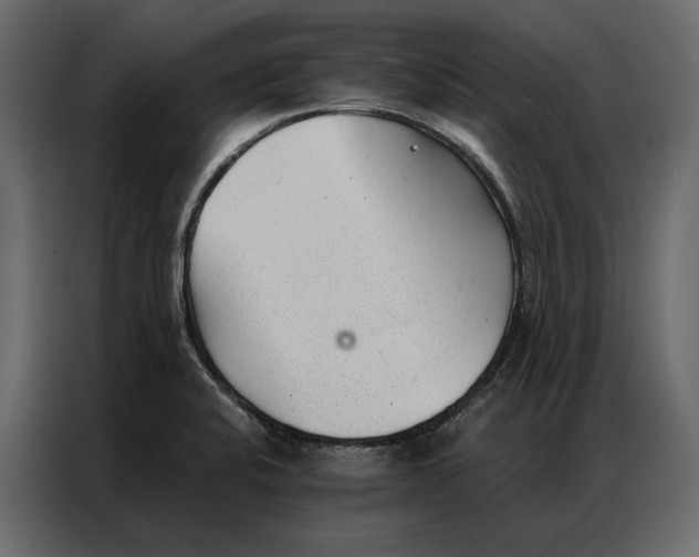 X0000086981424200705071408