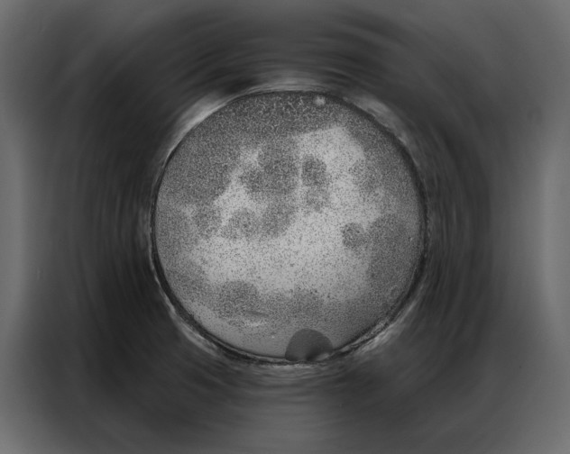 X0000086981425200705071408