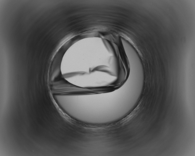 X0000086981426200705071408