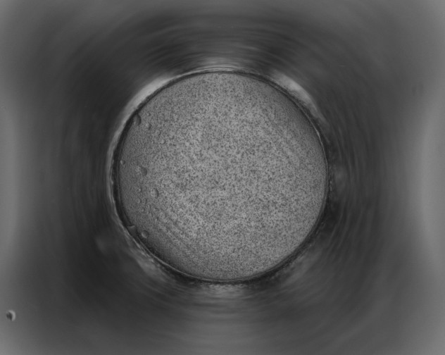 X0000086981427200705071408