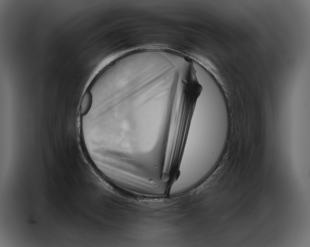 X0000086981428200705071408