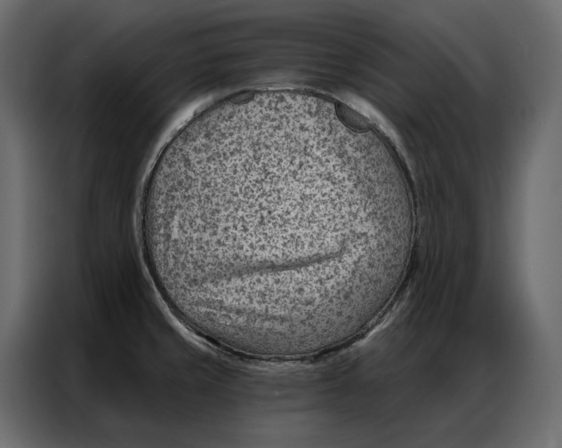 X0000086981429200705071408