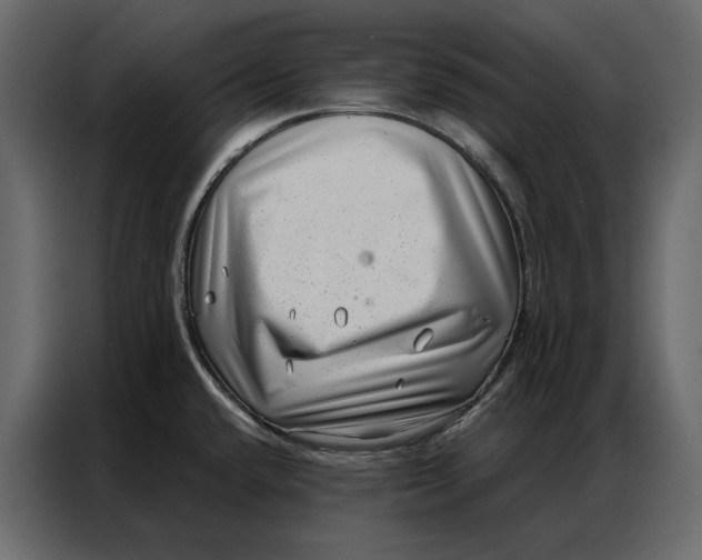 X0000086981432200705071408