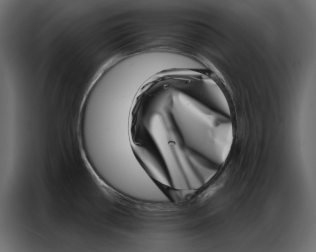 X0000086981434200705071408