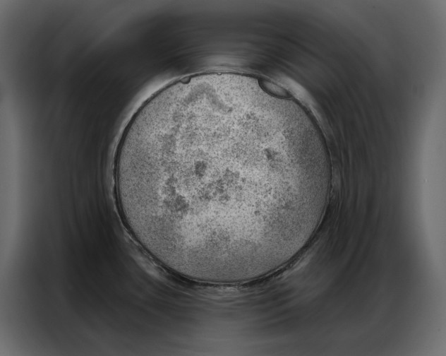 X0000086981435200705071408