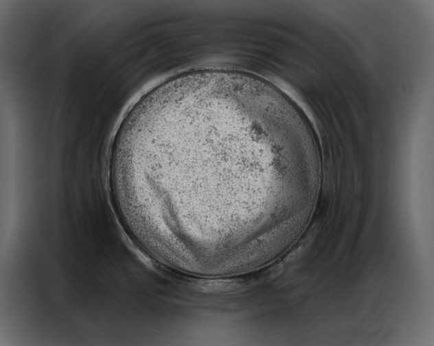 X0000086981437200705071408