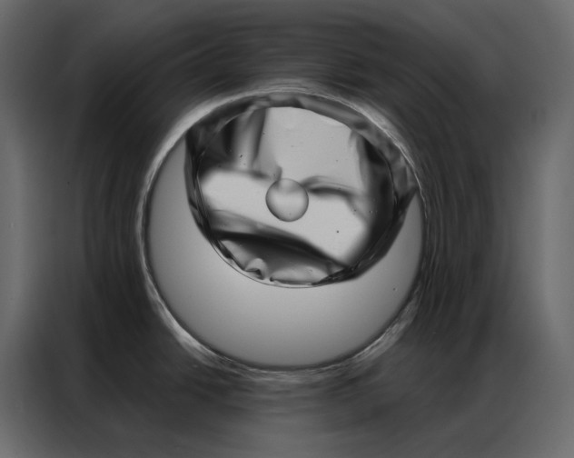 X0000086981438200705071408