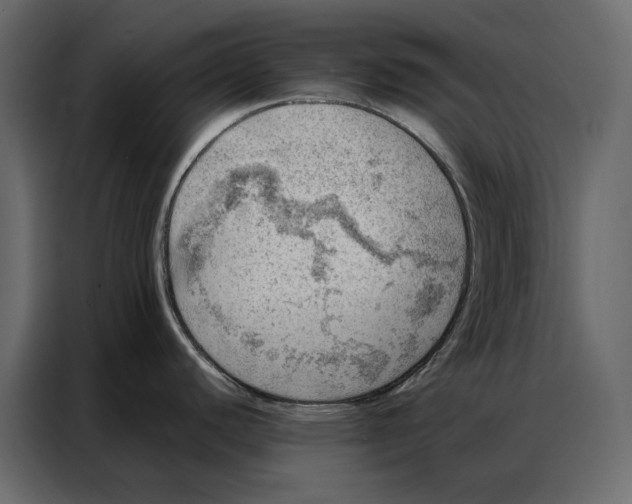 X0000086981440200705071408