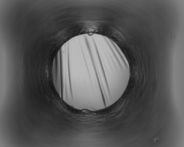 X0000086981442200705071407