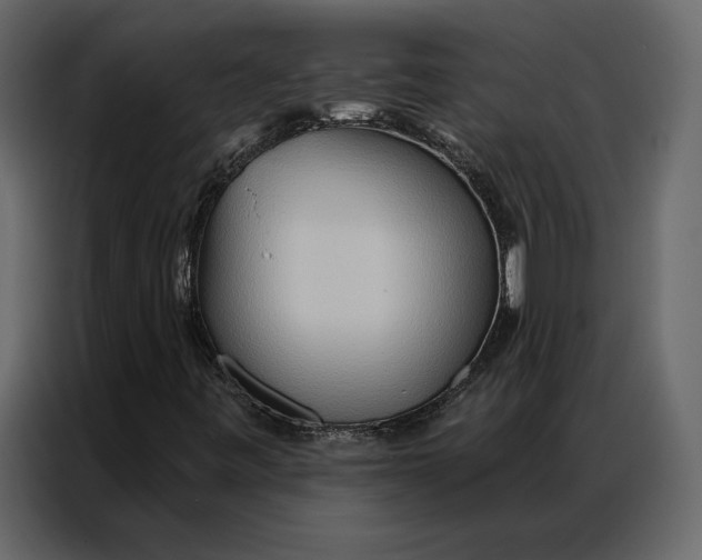 X0000086981443200705071407