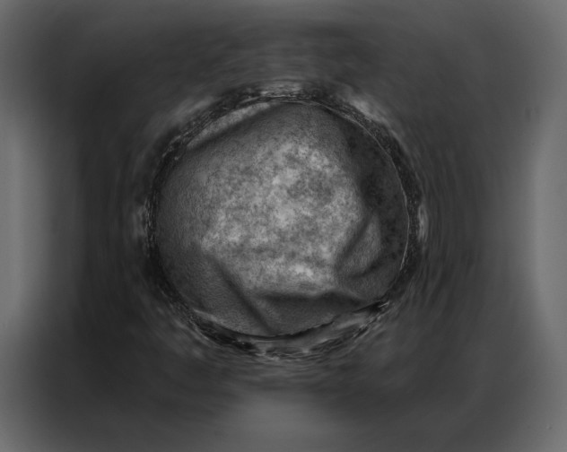 X0000086981445200705071407