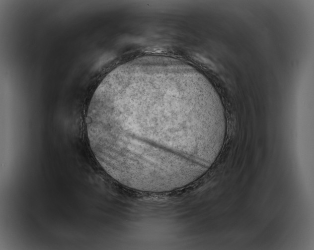 X0000086981446200705071407