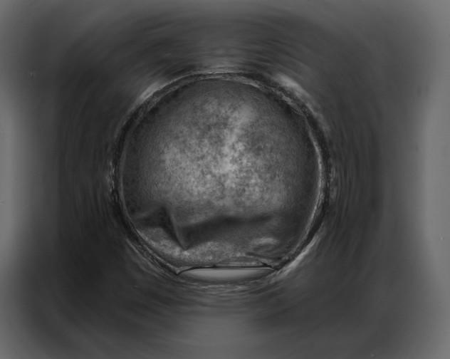 X0000086981449200705071407