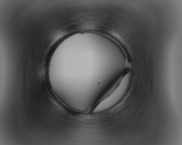 X0000086981450200705071407