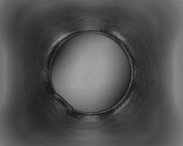 X0000086981453200705071407