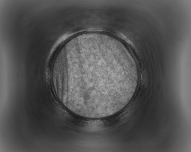 X0000086981454200705071407