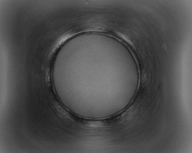 X0000086981455200705071407