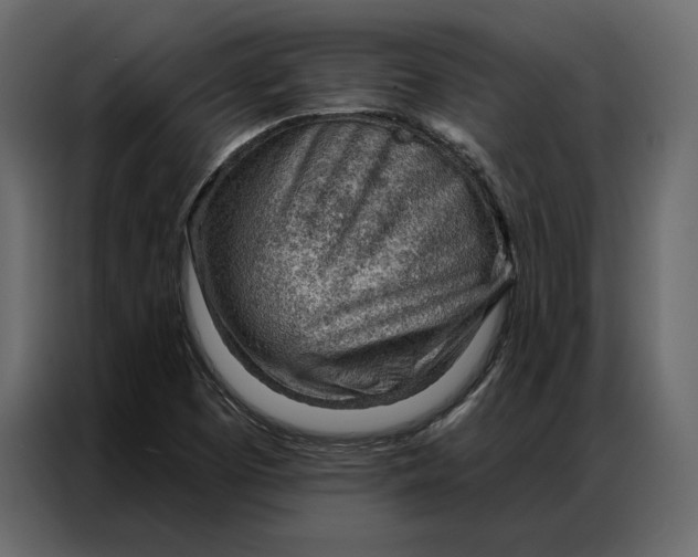 X0000086981457200705071407