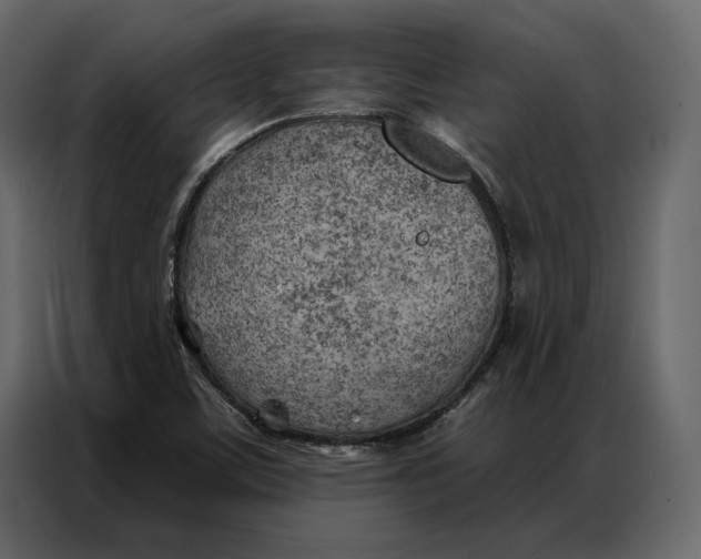 X0000086981459200705071407