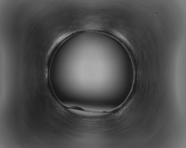 X0000086981461200705071407