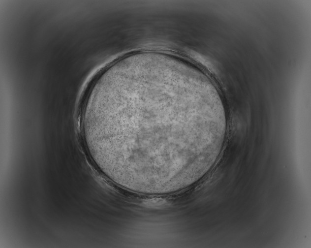 X0000086981462200705071407