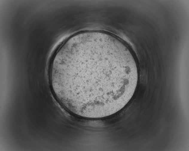 X0000086981464200705071407