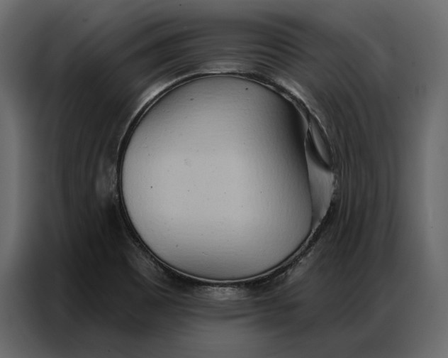 X0000086981465200705071407