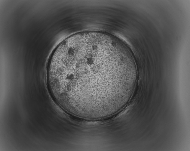 X0000086981467200705071407