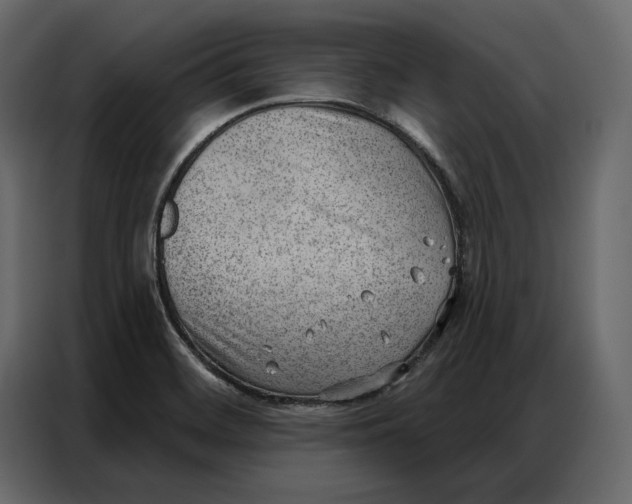 X0000086981468200705071407