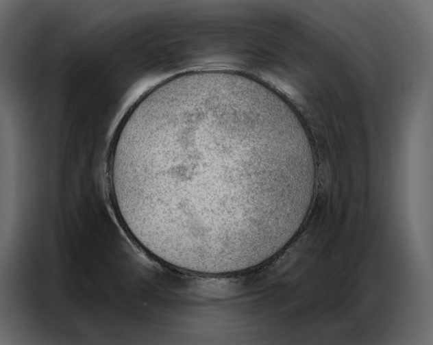 X0000086981470200705071407