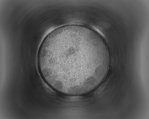 X0000086981471200705071407