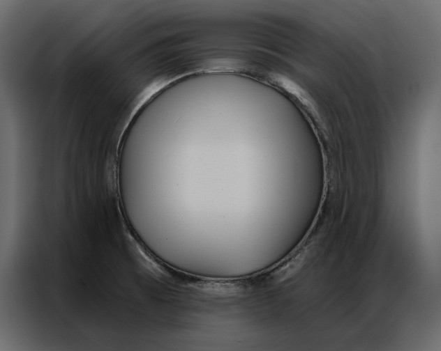 X0000086981473200705071407