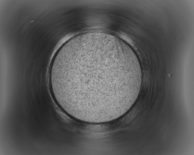 X0000086981474200705071407