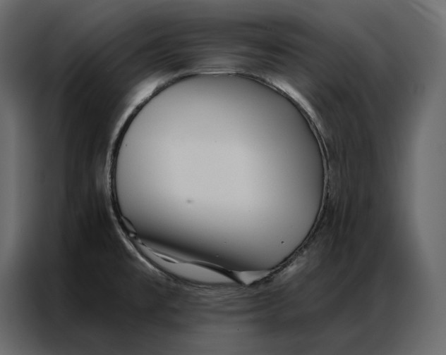 X0000086981477200705071407