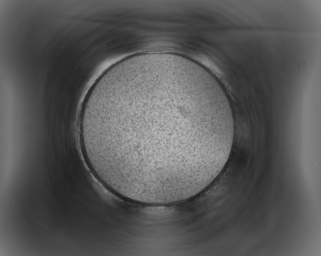 X0000086981478200705071407