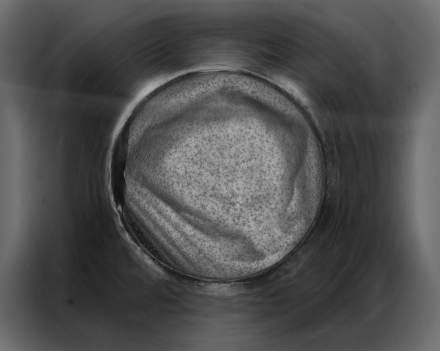 X0000086981480200705071407