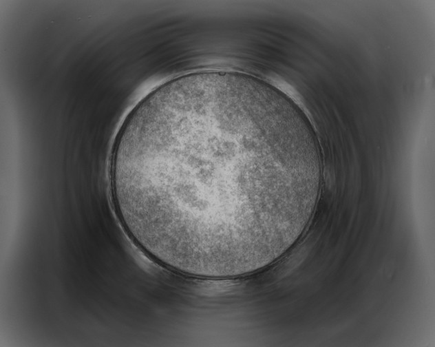 X0000086981482200705071407