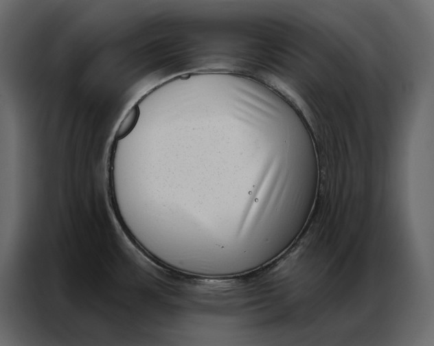 X0000086981483200705071407