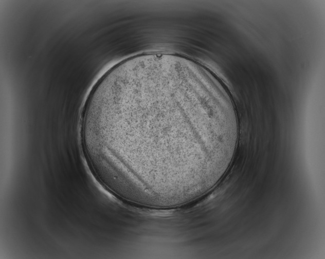 X0000086981484200705071407