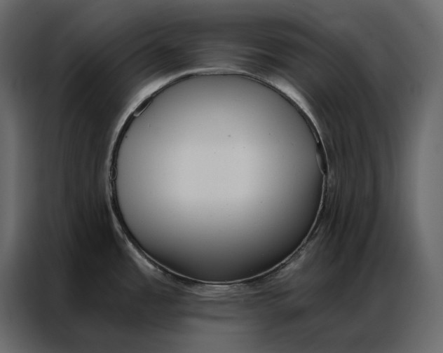 X0000086981485200705071407