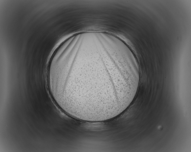 X0000086981486200705071407