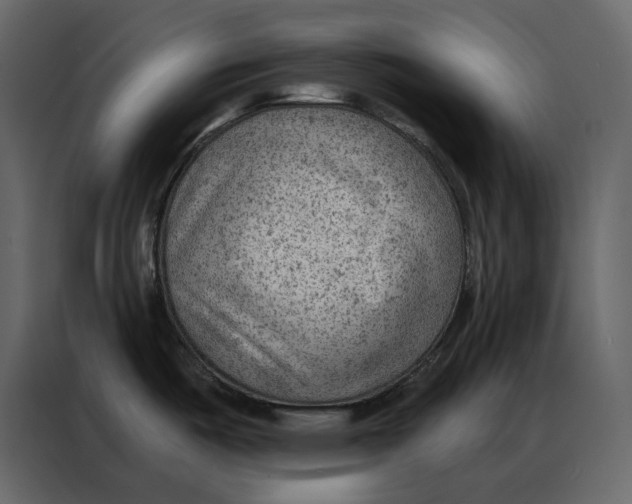 X0000086981487200705071407