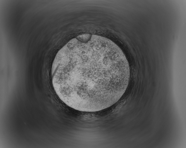 X0000086981489200705071406