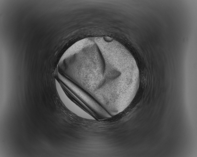 X0000086981490200705071406