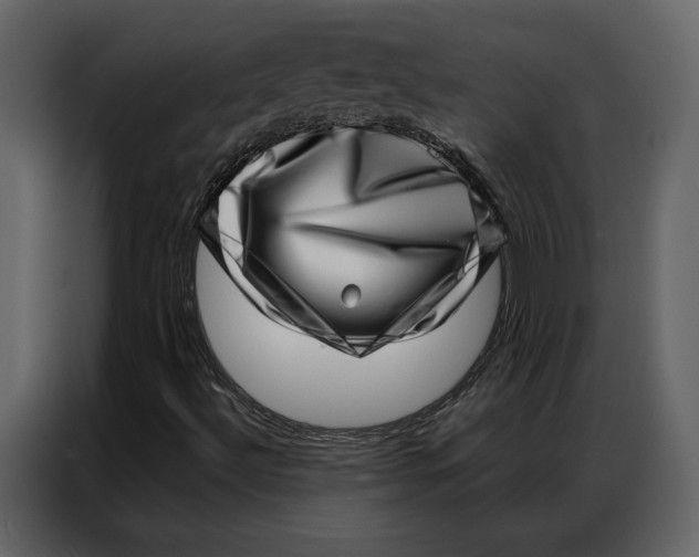 X0000086981492200705071406