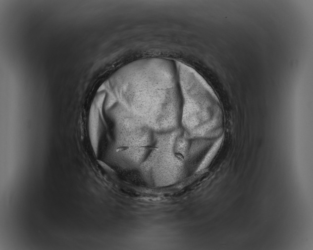 X0000086981493200705071406