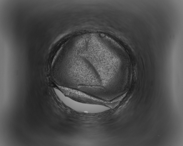 X0000086981494200705071406